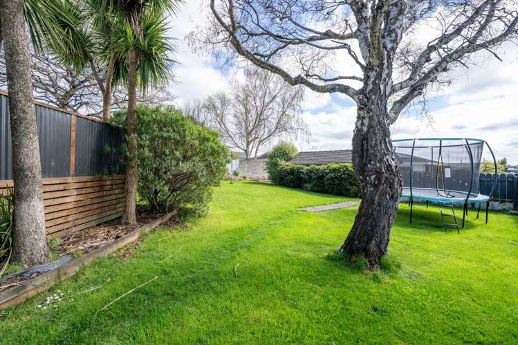 276 Layard Street Waverley_20