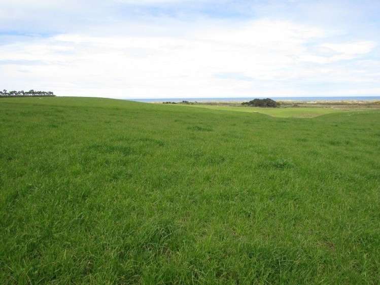 368 Otara Haldane Road Wyndham Surrounds_5