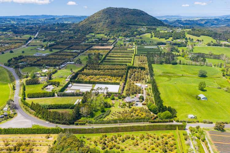 1611 State Highway 14 Maungatapere_1