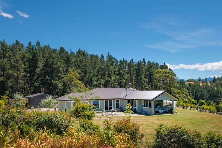 169 Dominion Road Mahana_17