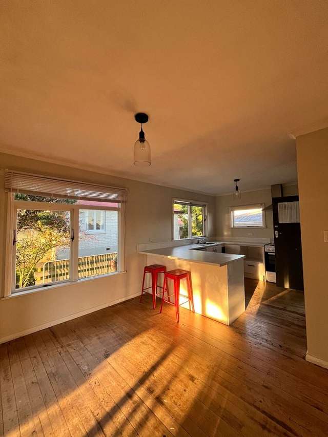 58 Totara Street Lansdowne_2