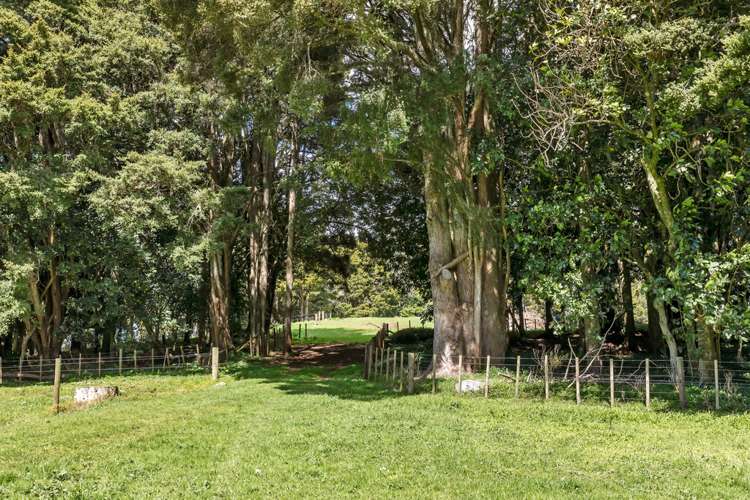 1027 State Highway 14 Maungatapere_23