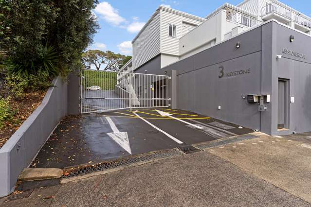 1l/3 Keystone Avenue Mount Roskill_1