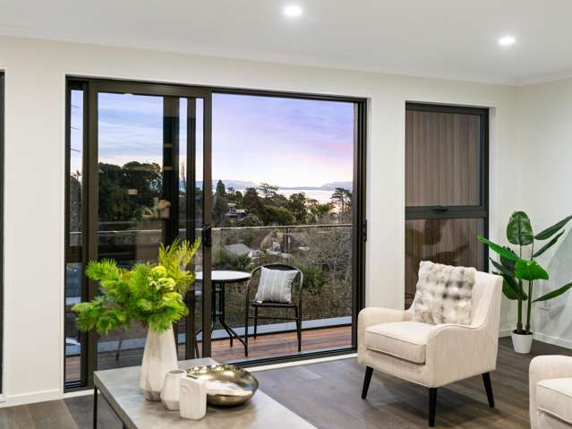 1/1 George Laurenson Lane Mount Roskill_4