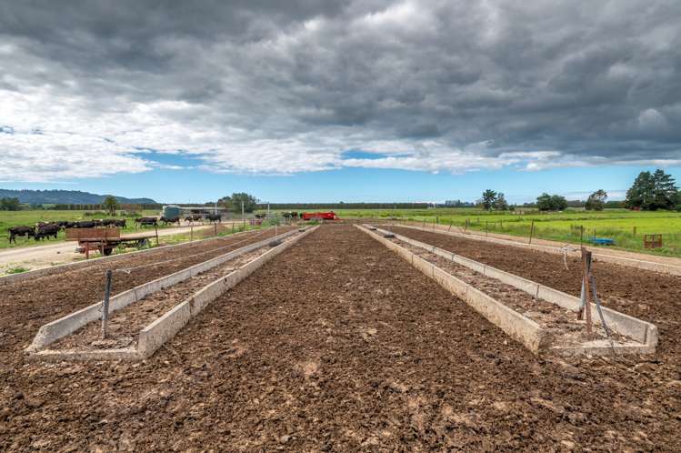 630 Otakiri Road Otakiri_4
