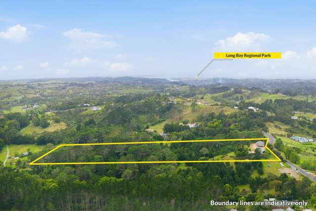 66 Potter Road Dairy Flat_2