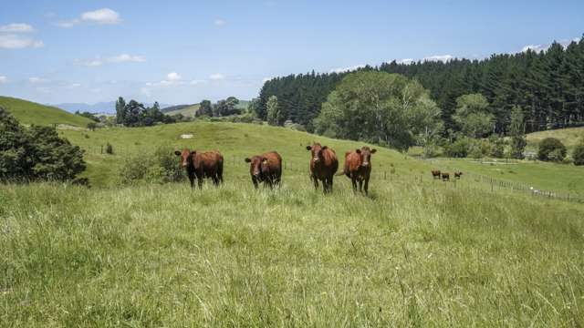 Lot 2 3315 State Highway 2 Waitakaruru_2