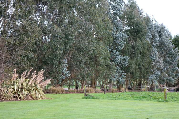 214 Findlay Road Ascot_6