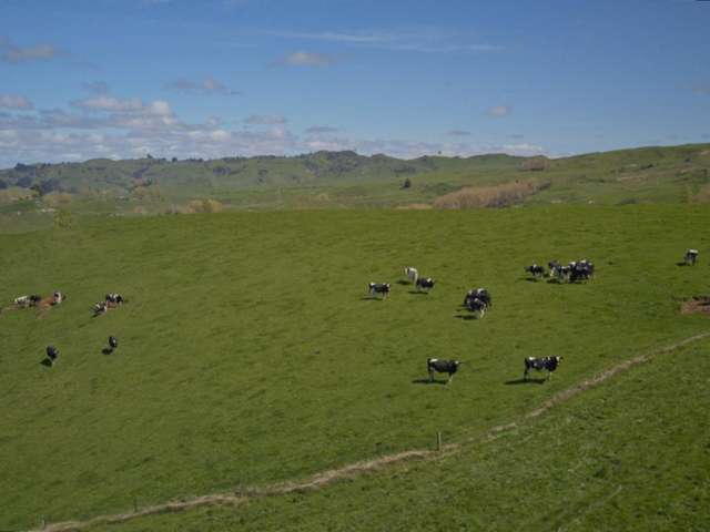 169 Owhakura Road Taihape_3