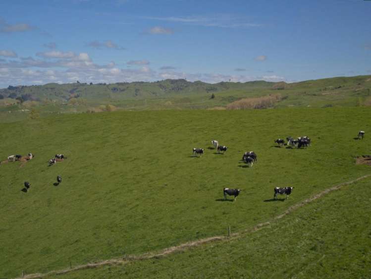 169 Owhakura Road Taihape_3