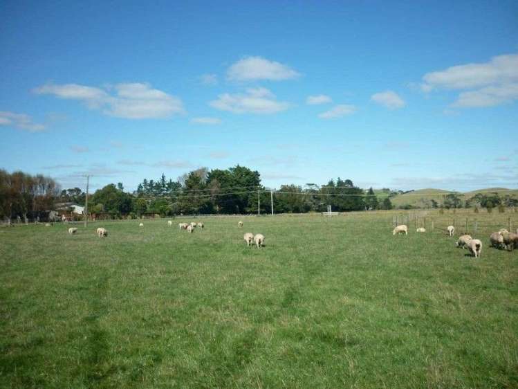 175 Awakino Point East Road Dargaville Surrounds_14