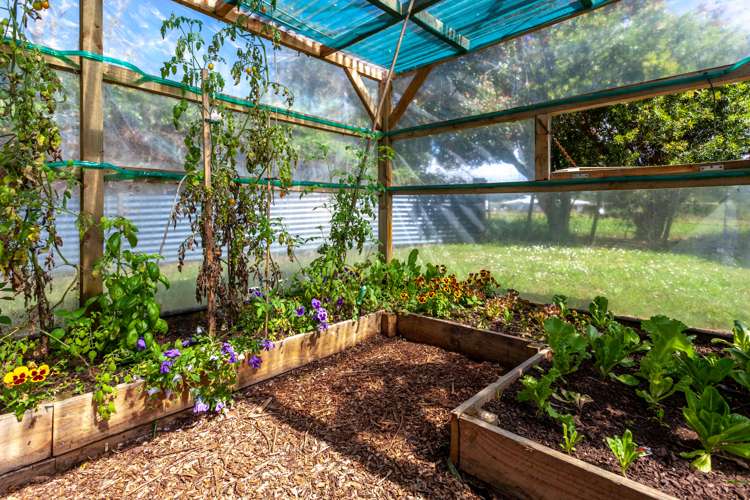 75 Harris Road Glenbervie_20