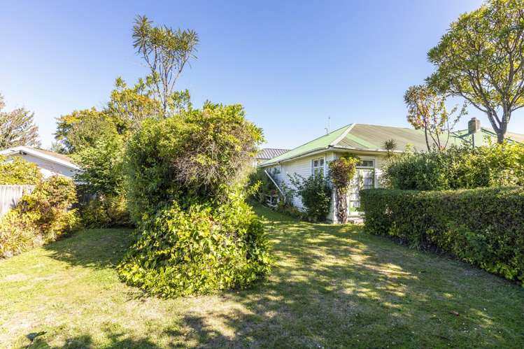 28 Jacksons Road Merivale_8