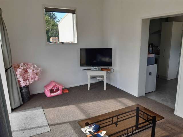 298b Belk Road Kaimai_4