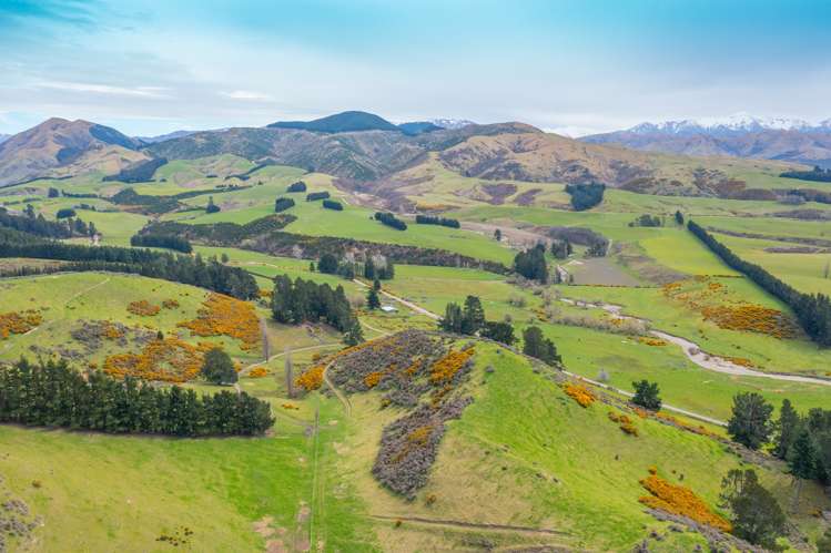 411 Waianiwaniwa Road Sheffield_13