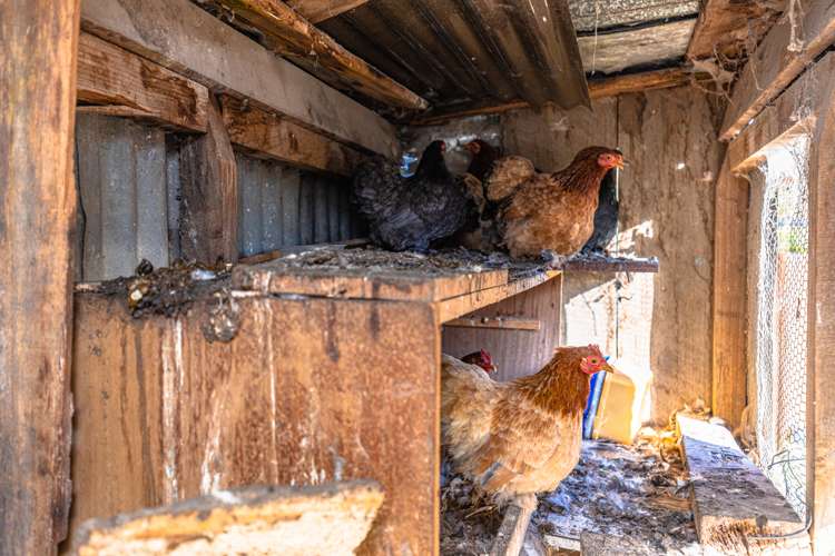 37 Creek Road Mangamahu_13