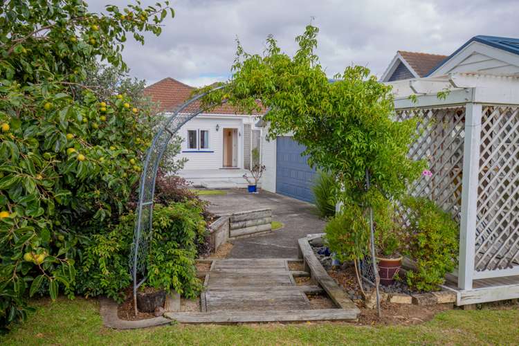 291 Thames Street Morrinsville_7