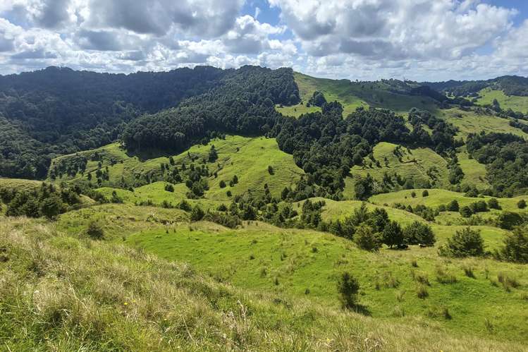 632 Marlow Road Maromaku_6