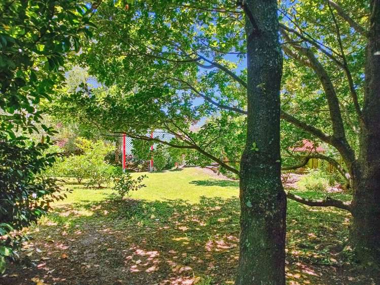 86 Grey street Woodville_18