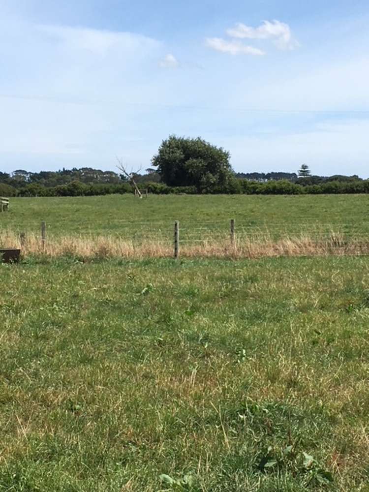 1703 Eltham Road Riverlea_25