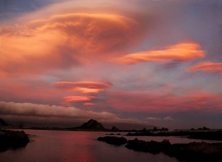 354 The Esplanade Island Bay_17