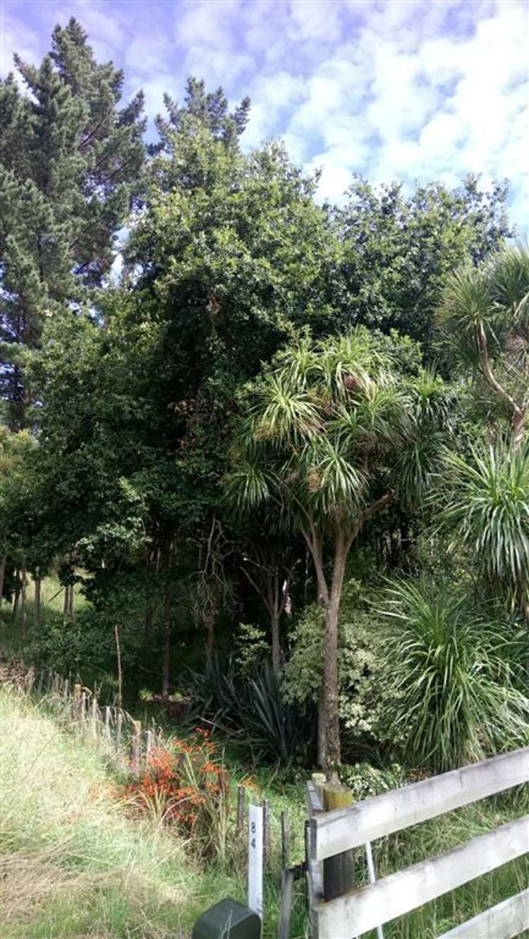 84 Te Hapua Road Te Horo_14