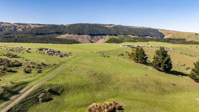 614 Omihi Road Omihi_1