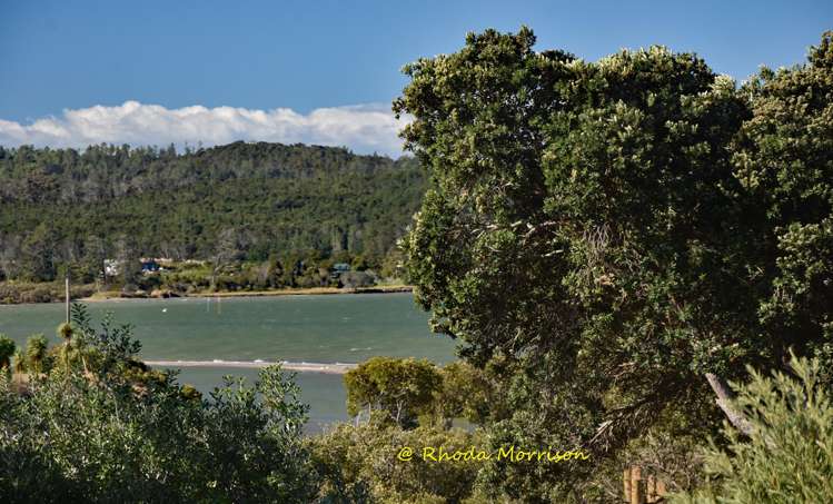 1 Sandy Beach Road Tinopai_35