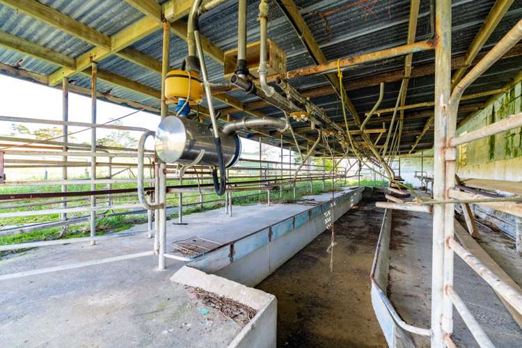 76 Driver Road Dargaville Surrounds_17