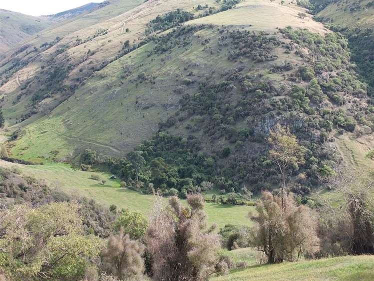 831 Chorlton Road Little Akaloa_25