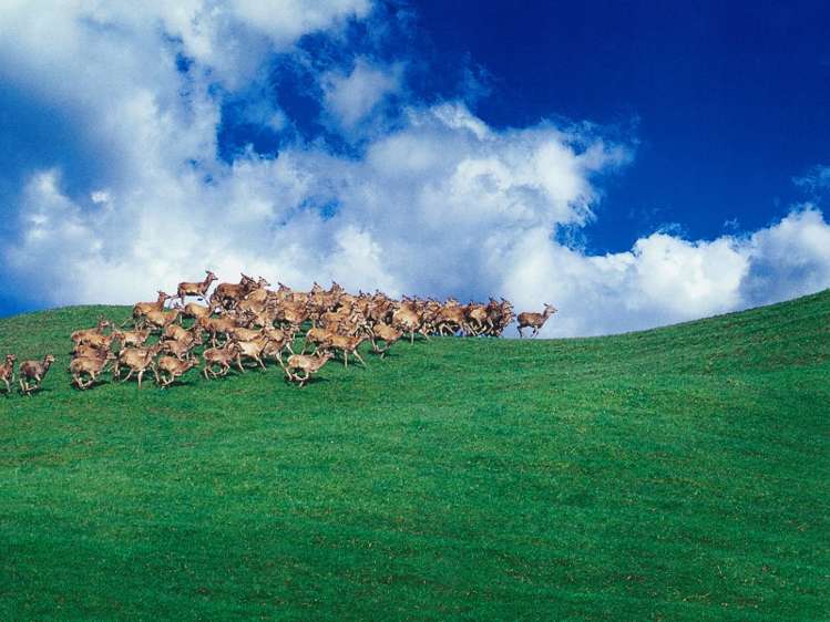 545 Waiwhero Road Ngatimoti_22