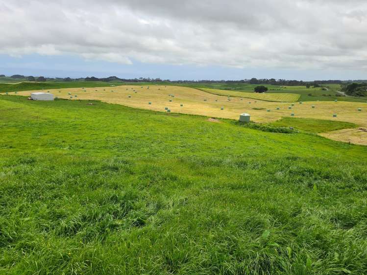 0n Parihaka Road Pungarehu_6