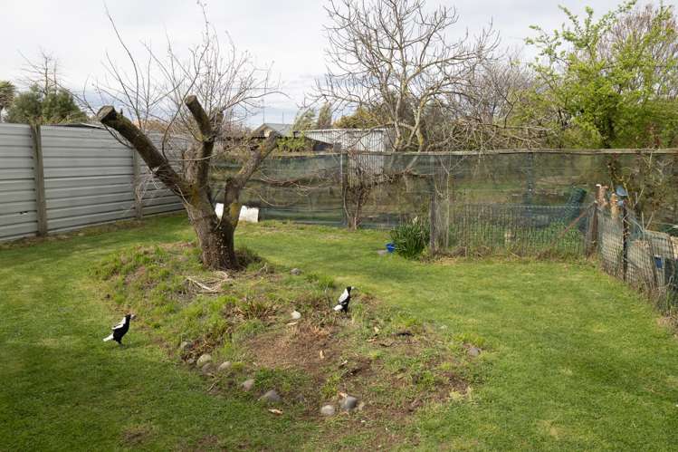 155 Peters Street Hinds_8