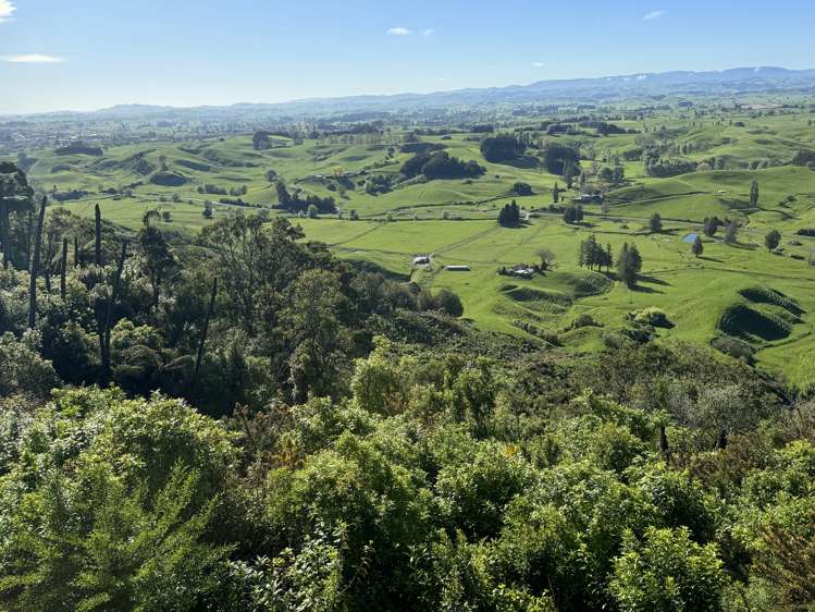 276B Waitomo Valley Road. Otorohanga_19