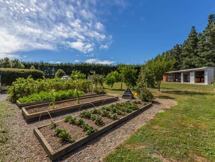 171 Racecourse Road Amberley_18