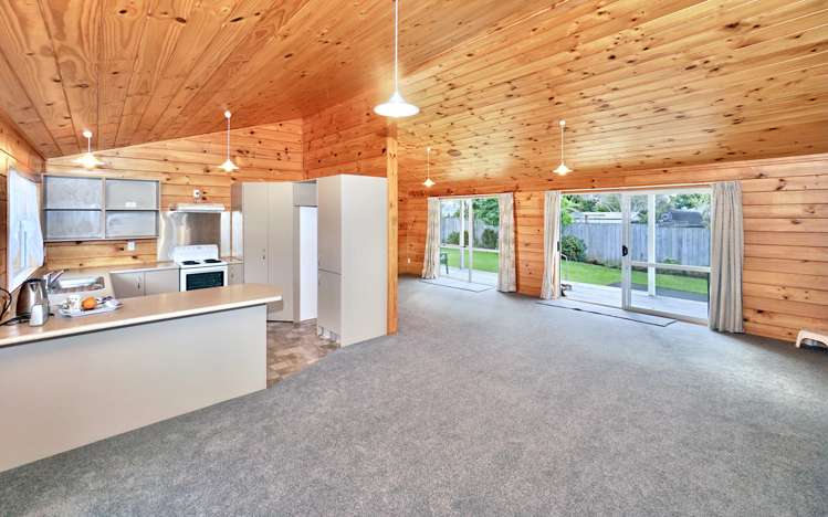 19a Princess Street Te Puke_3