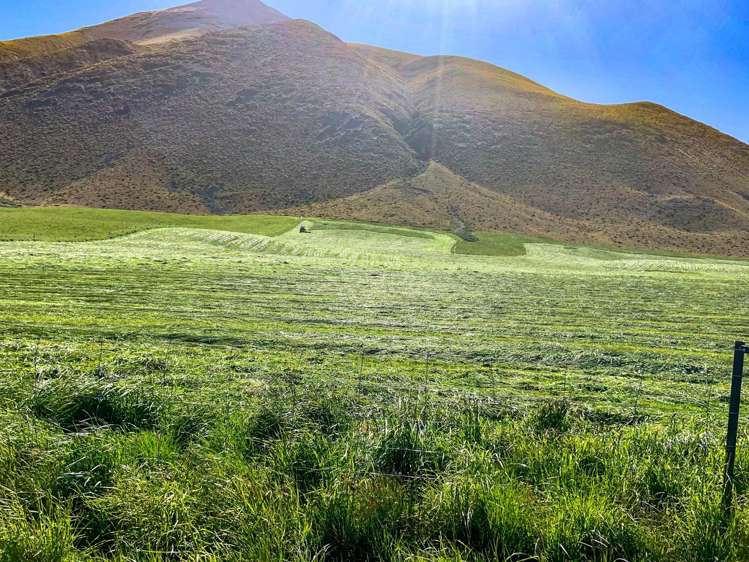 1551 Double Hill Run Road Rakaia Gorge_35