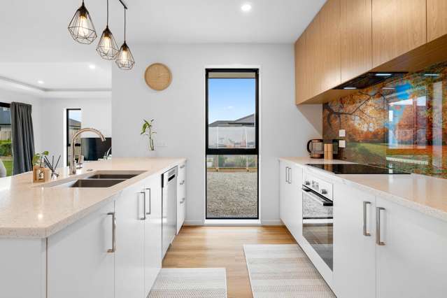 32 Ashbury Drive Tinwald_1