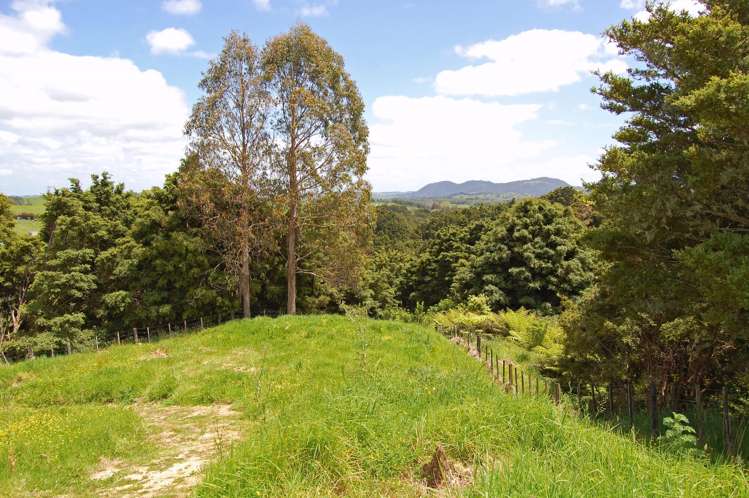 112 Tawa Avenue Kaiwaka_10