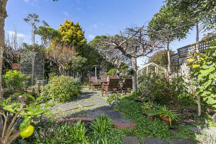 43 Bidwill Street Mount Cook_19