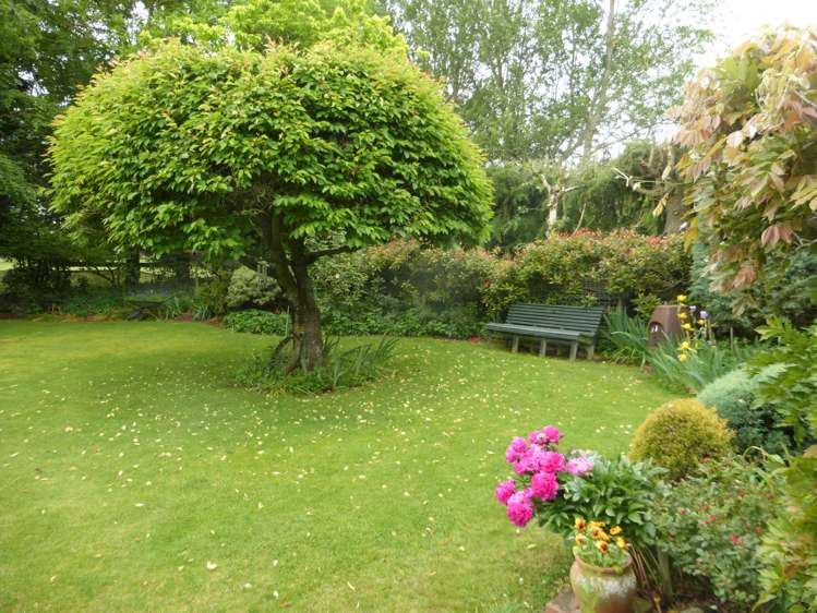 101 Maronan Road Tinwald_24