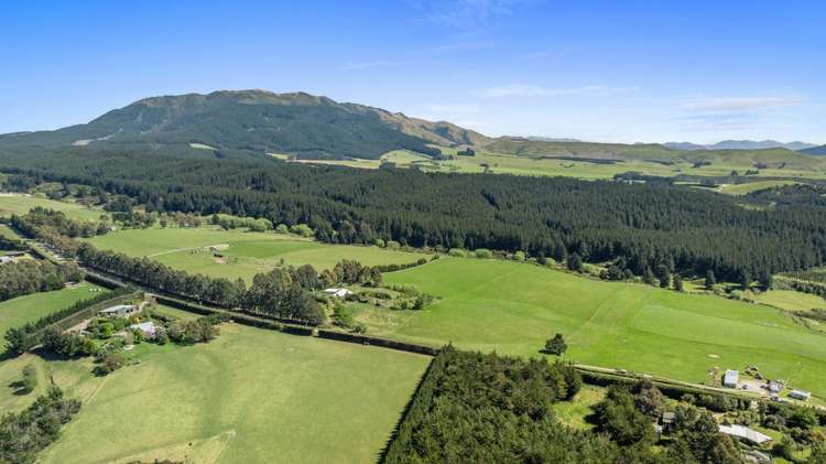 430 Cramptons Bush Road Amberley_13