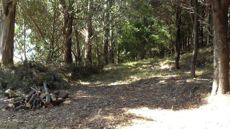 3626a Western Lake Road Ocean Beach_1