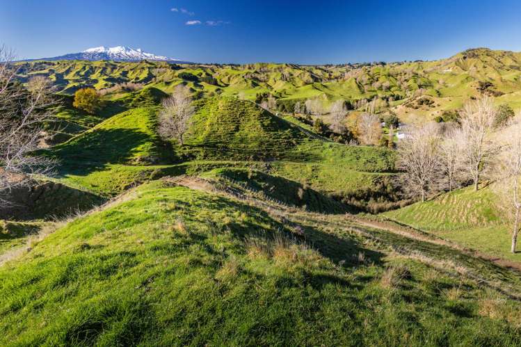 Lot Lot 1/56 Makakahi Road Raetihi_29