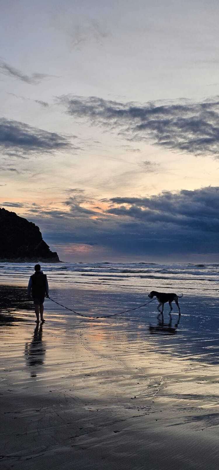 4 Nikau Heights, Little Wanganui Karamea_21