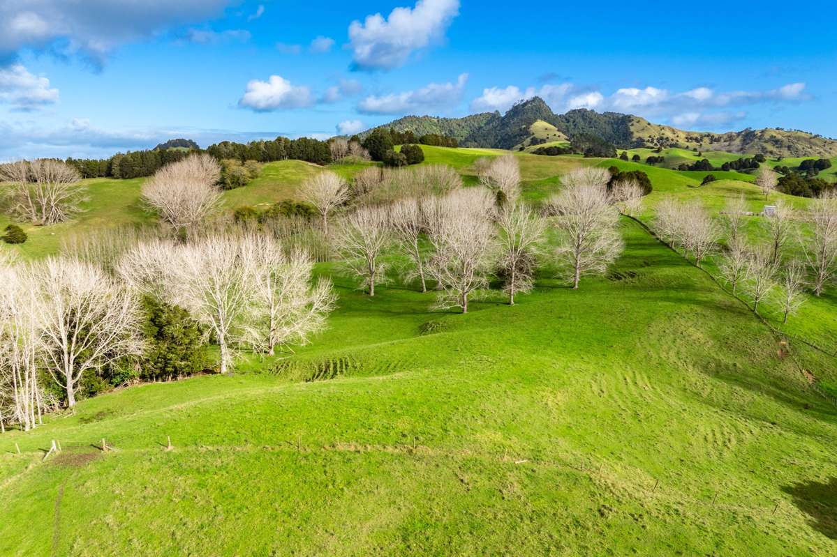 Lot 4a Tauraroa Road_5