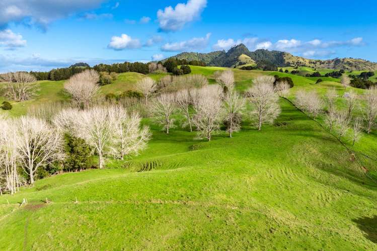 Lot 4a Tauraroa Road Maungakaramea_9