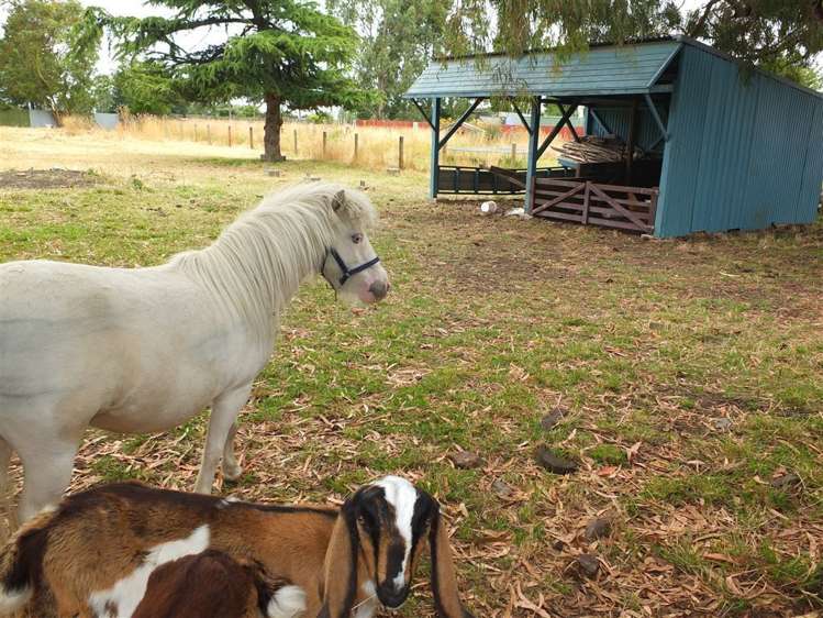 78 Acacia Drive Levels_2