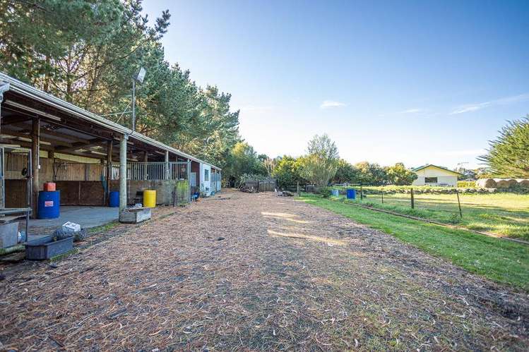 356 Matamau Ormondville Rd Dannevirke_17