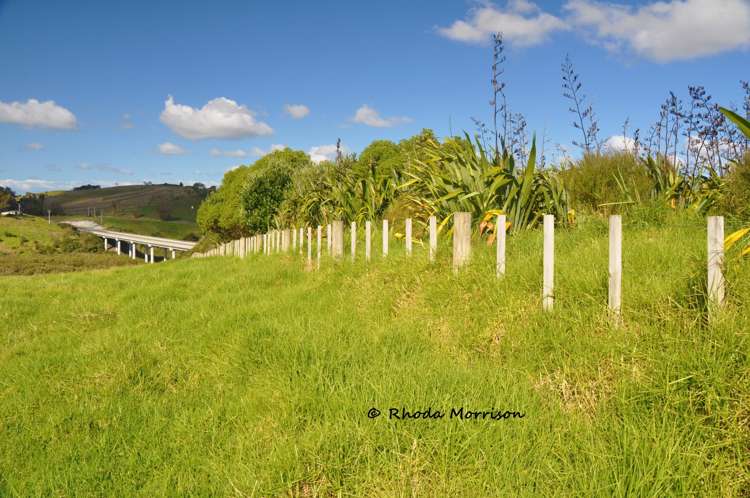 113 Te Rawhiti Road Matakohe_44
